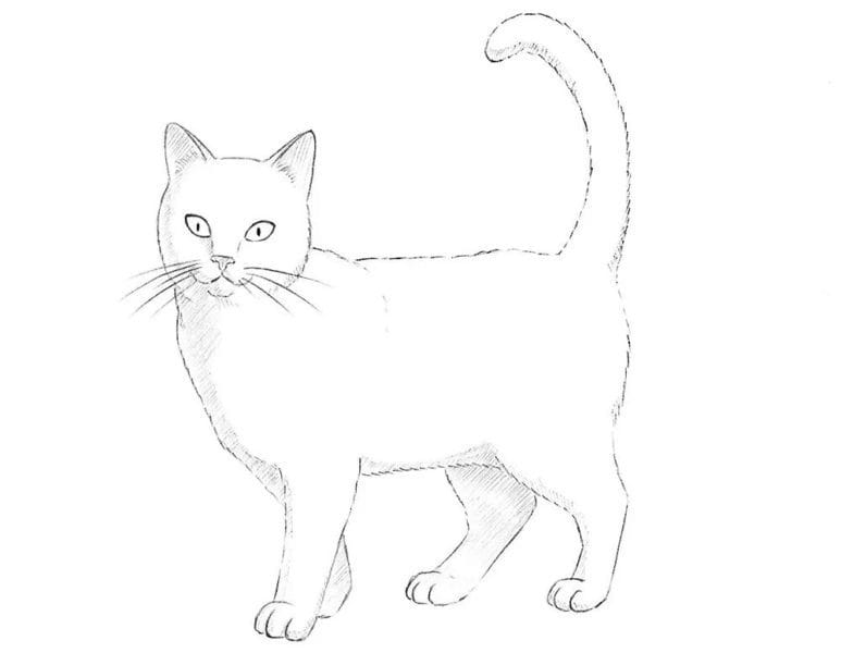 215 прикольных рисунков котов и кошек #11