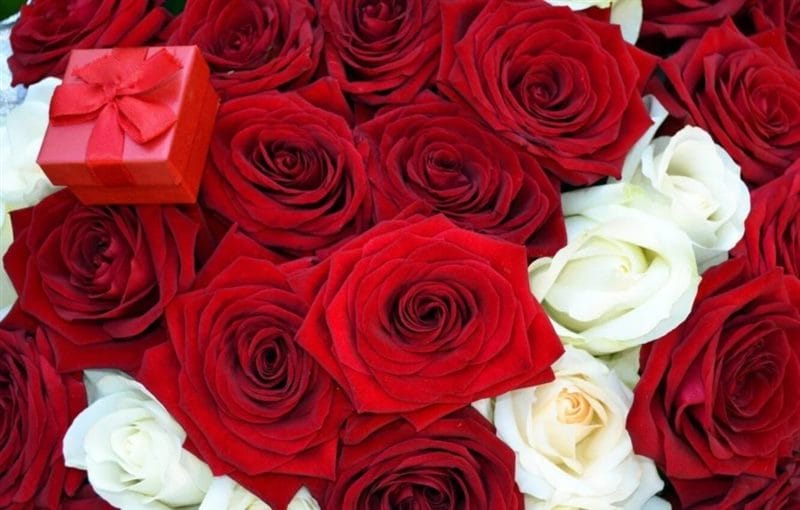 Букеты роз: 180 красивых картинок #47