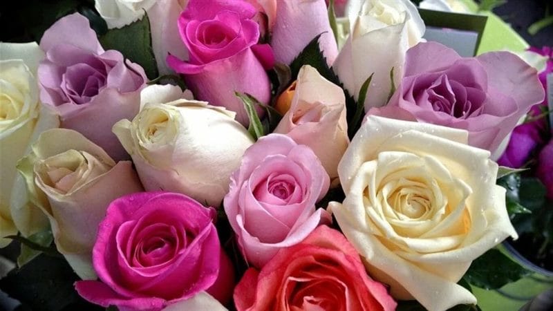 Букеты роз: 180 красивых картинок #140