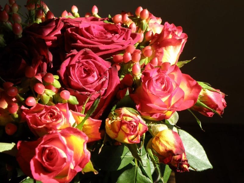 Букеты роз: 180 красивых картинок #87