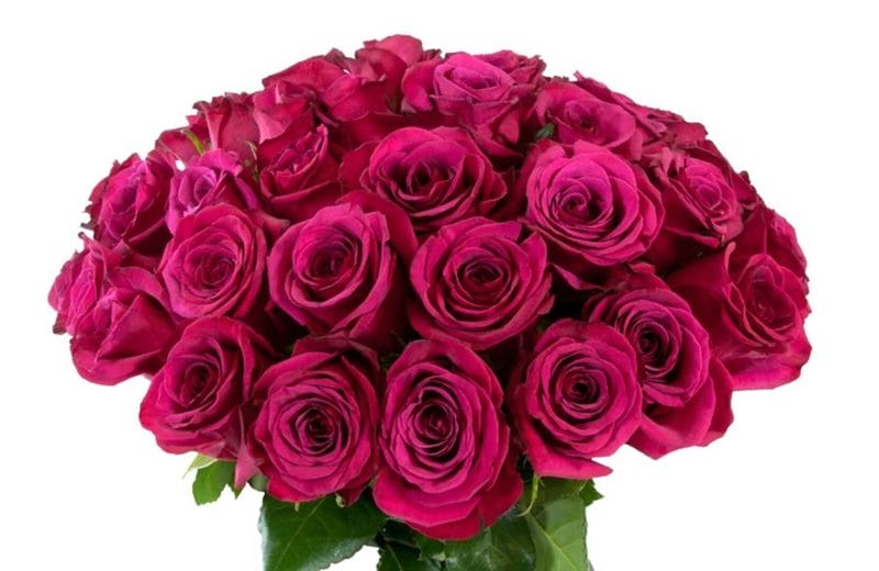 Букеты роз: 180 красивых картинок #12