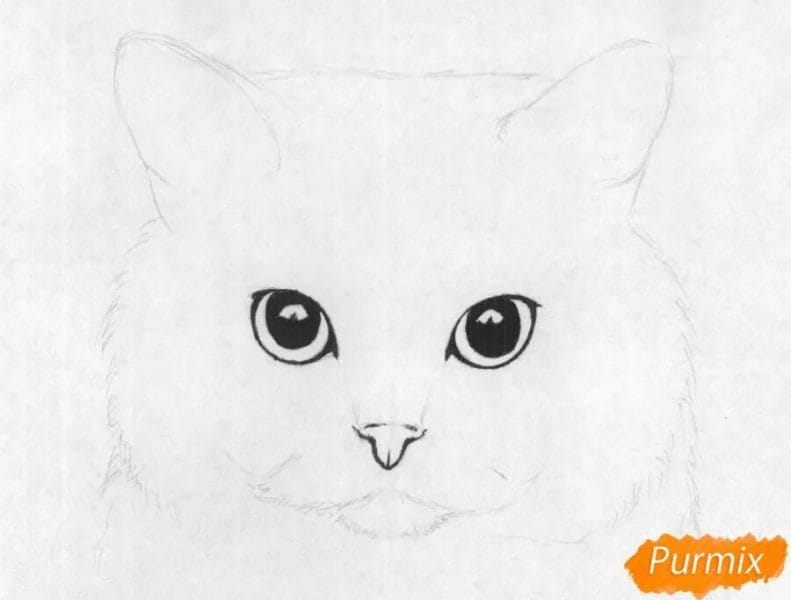 215 прикольных рисунков котов и кошек #49