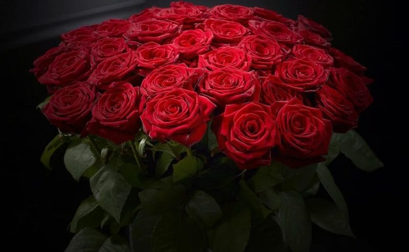 Букеты роз: 180 красивых картинок #21