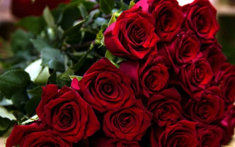 Букеты роз: 180 красивых картинок #33