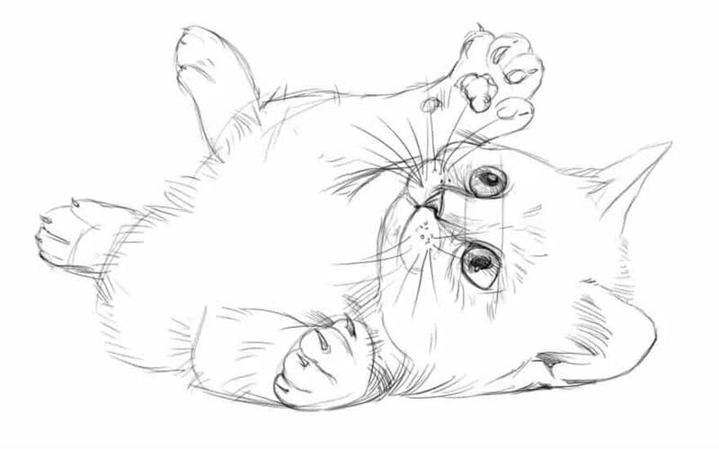 215 прикольных рисунков котов и кошек #62