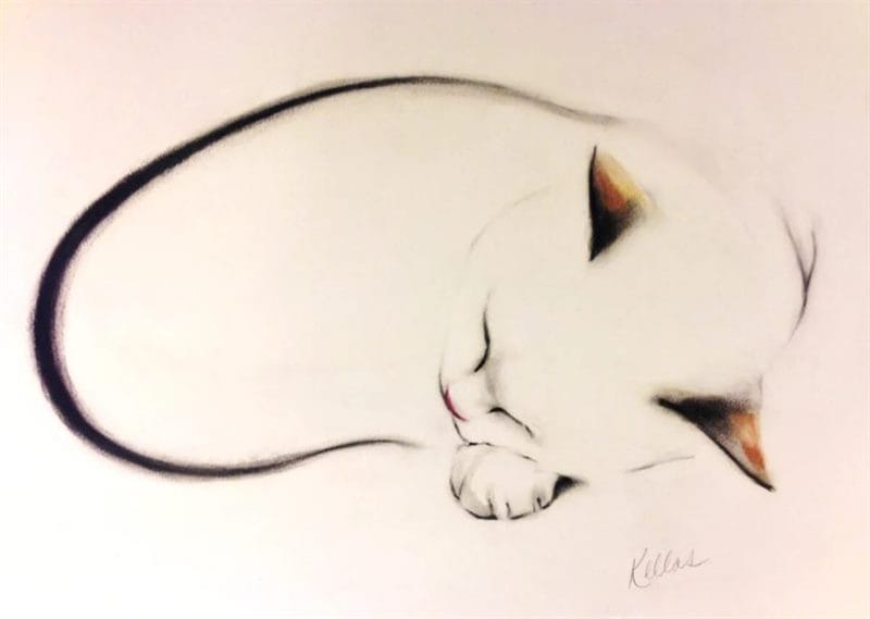 215 прикольных рисунков котов и кошек #151
