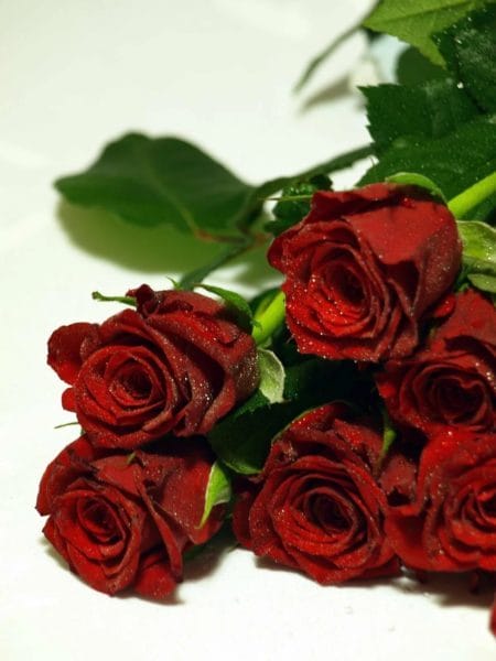 Букеты роз: 180 красивых картинок #143