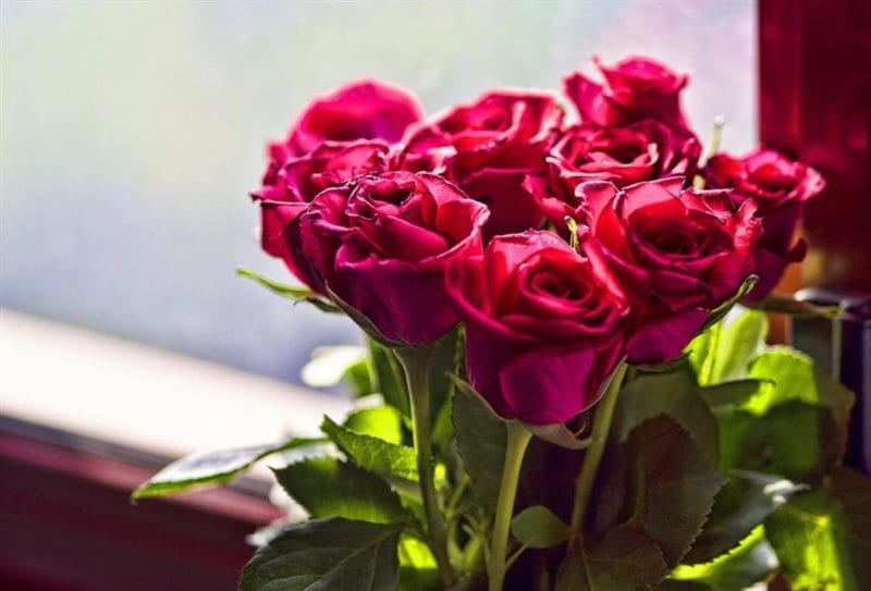 Букеты роз: 180 красивых картинок #171