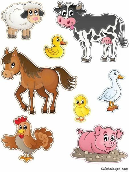 100 картинок с разными животными для малышей #61