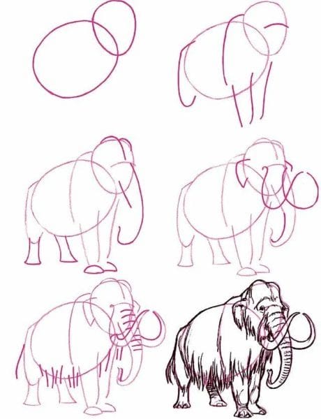 150 легких рисунков животных карандашами и не только #33