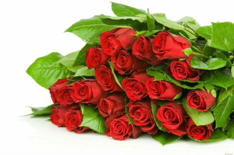 Букеты роз: 180 красивых картинок #72
