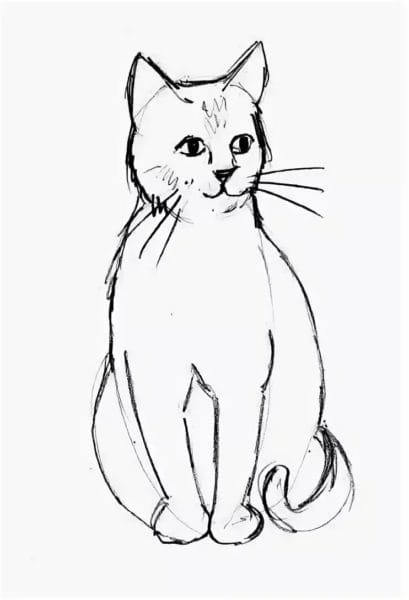 215 прикольных рисунков котов и кошек #61