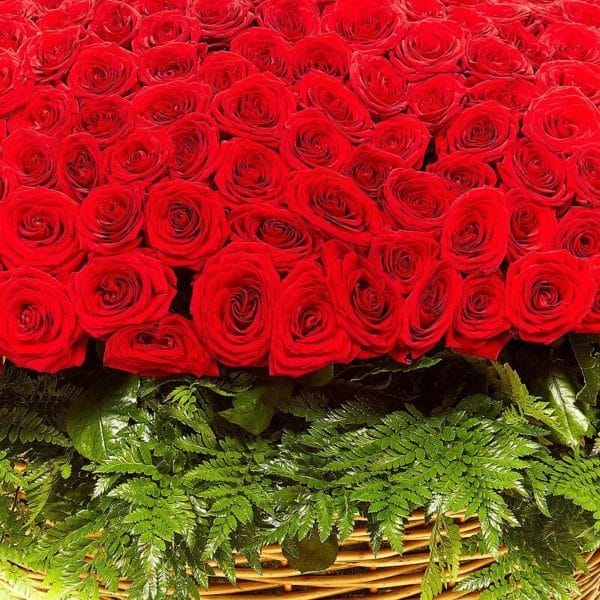 Букеты роз: 180 красивых картинок #20