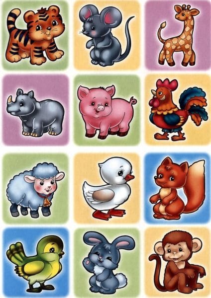 100 картинок с разными животными для малышей #58