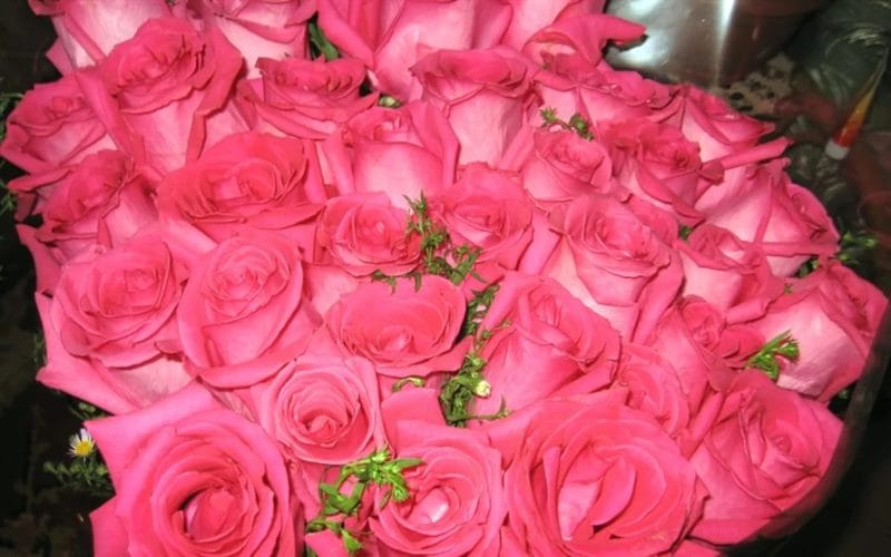Букеты роз: 180 красивых картинок #23
