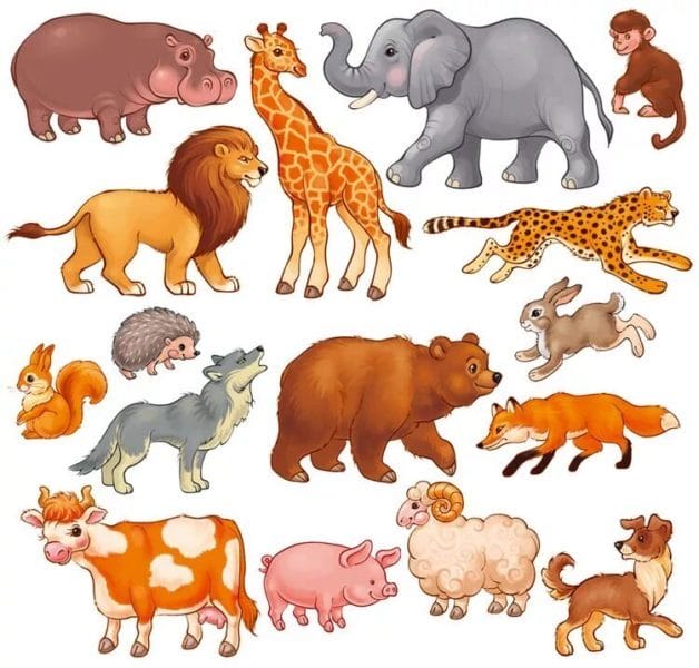 100 картинок с разными животными для малышей #28