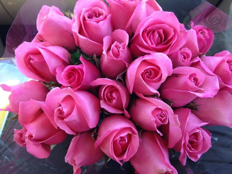 Букеты роз: 180 красивых картинок #105