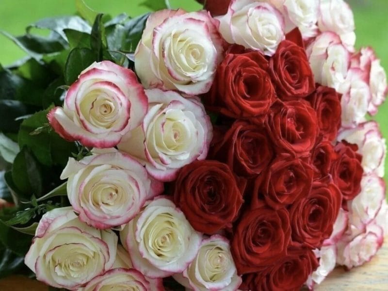 Букеты роз: 180 красивых картинок #48