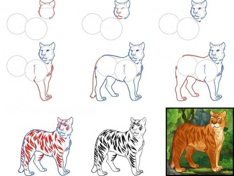 150 легких рисунков животных карандашами и не только #41