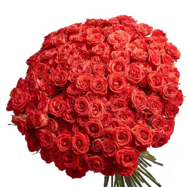 Букеты роз: 180 красивых картинок #8