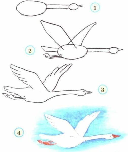 120 рисунков птиц для детей и взрослых #55