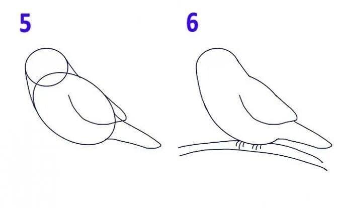 120 рисунков птиц для детей и взрослых #78