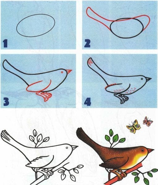 120 рисунков птиц для детей и взрослых #25