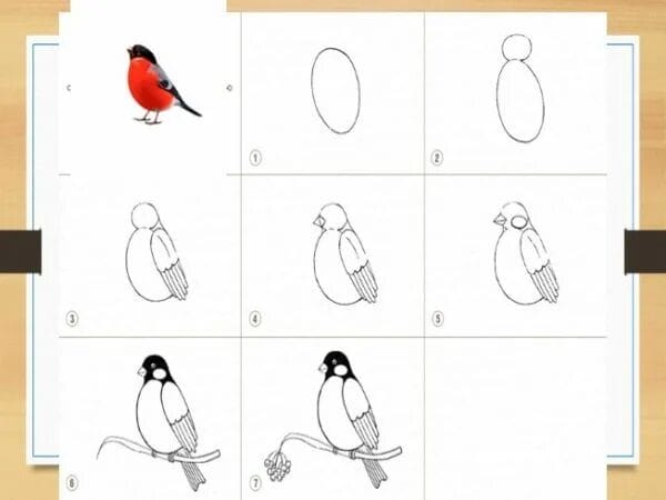 120 рисунков птиц для детей и взрослых #110