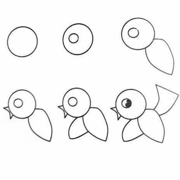 120 рисунков птиц для детей и взрослых #97
