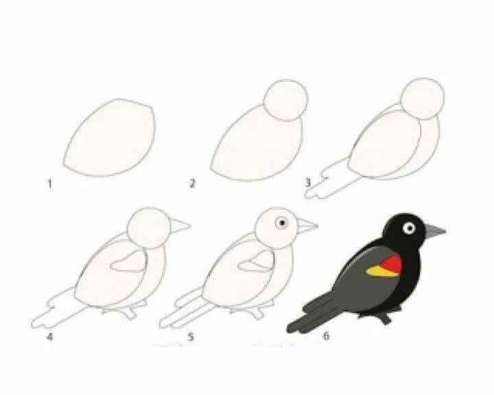 120 рисунков птиц для детей и взрослых #107