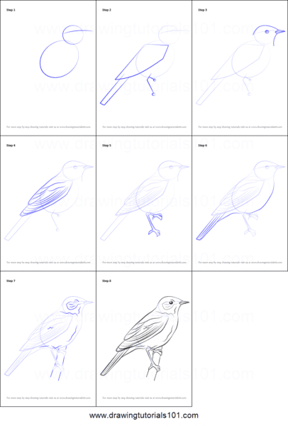 120 рисунков птиц для детей и взрослых #92