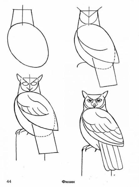120 рисунков птиц для детей и взрослых #21