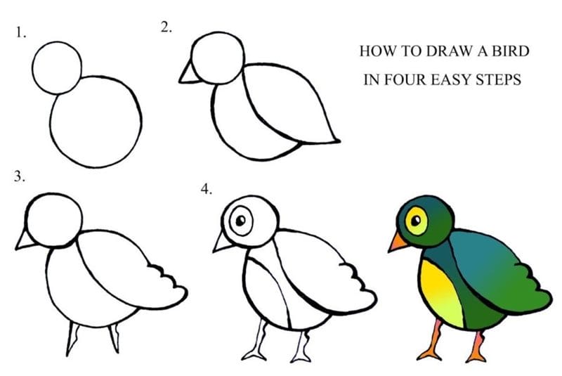 120 рисунков птиц для детей и взрослых #6