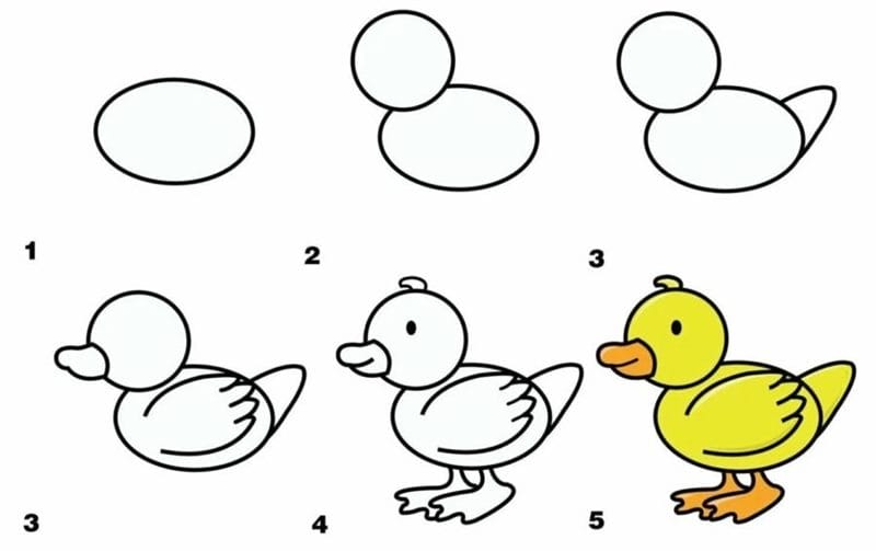 120 рисунков птиц для детей и взрослых #58