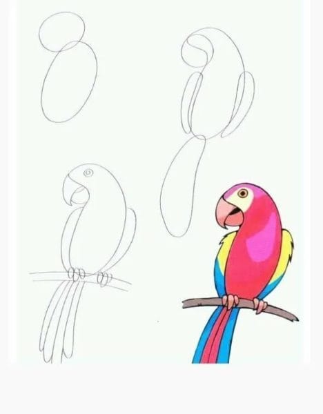120 рисунков птиц для детей и взрослых #64