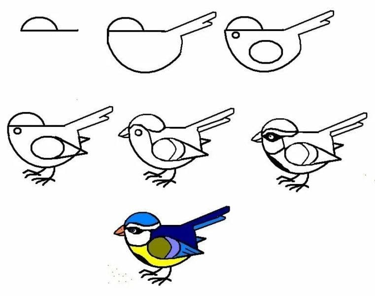 120 рисунков птиц для детей и взрослых #47
