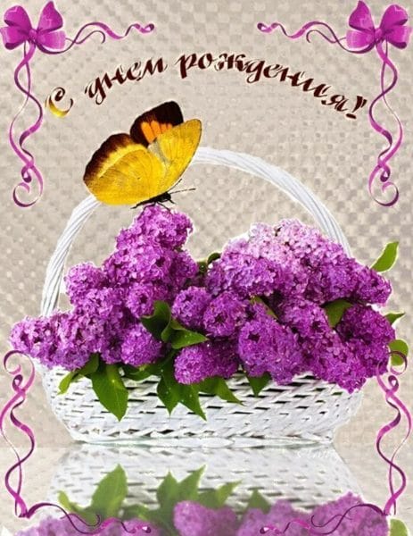 С днем рождения! 245 открыток с красивыми букетами цветов #167