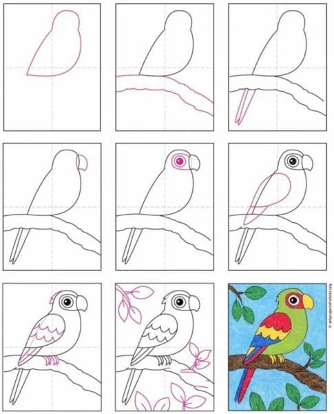 120 рисунков птиц для детей и взрослых #112