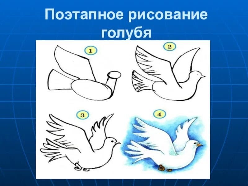 120 рисунков птиц для детей и взрослых #88