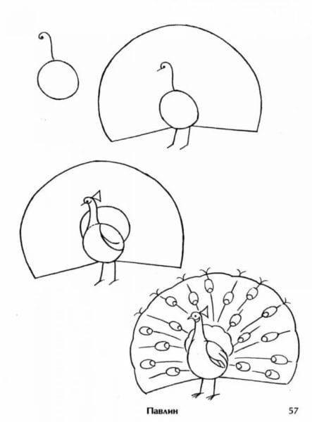 120 рисунков птиц для детей и взрослых #115