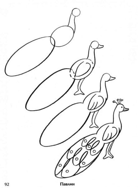 120 рисунков птиц для детей и взрослых #68