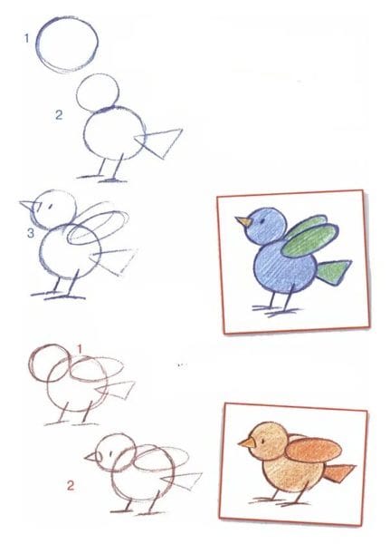 120 рисунков птиц для детей и взрослых #95