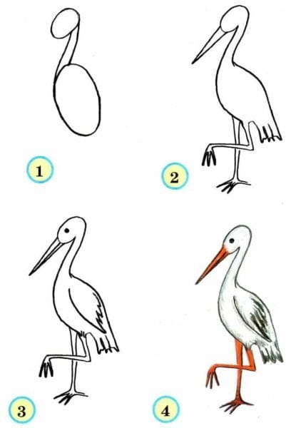 120 рисунков птиц для детей и взрослых #53