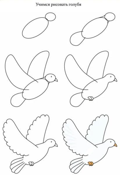 120 рисунков птиц для детей и взрослых #117