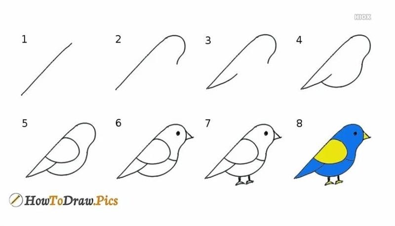 120 рисунков птиц для детей и взрослых #102