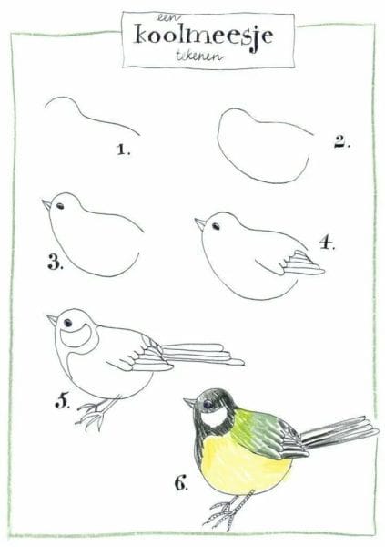 120 рисунков птиц для детей и взрослых #51