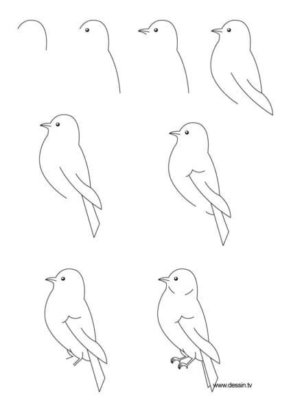 120 рисунков птиц для детей и взрослых #103