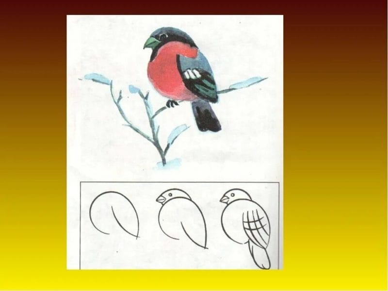 120 рисунков птиц для детей и взрослых #65