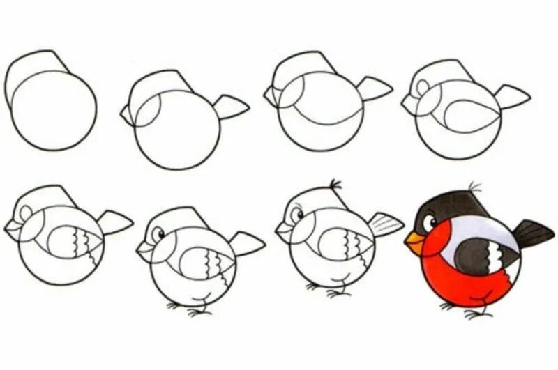 120 рисунков птиц для детей и взрослых #109