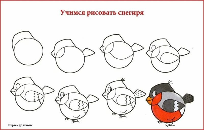 120 рисунков птиц для детей и взрослых #33